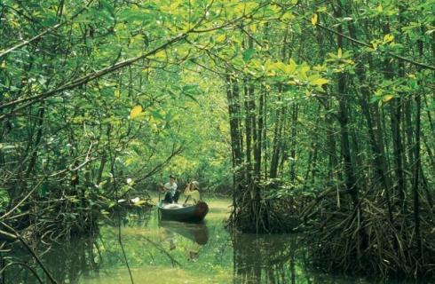 Khám Phá Khu Du Lịch Biển Cần Giờ