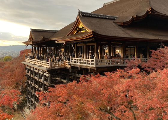 Tiêu đề dự án d