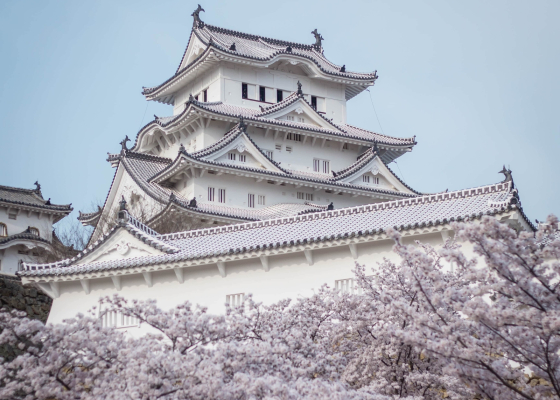 Tiêu đề dự án a7