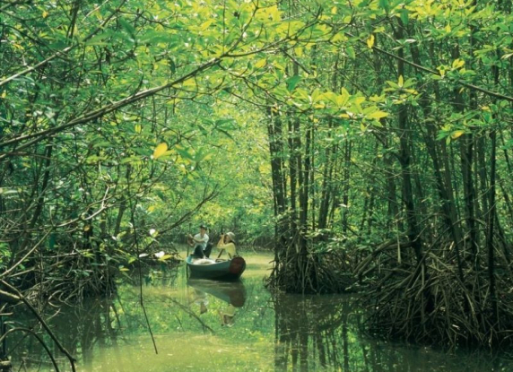 Khám Phá Khu Du Lịch Biển Cần Giờ