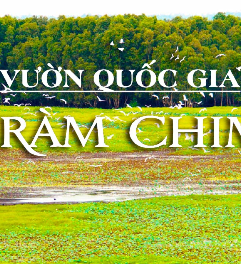 Cho Thuê Xe 4–7–16–29–45 Chỗ Xuất Phát Từ TP.HCM Đi Khu Du Lịch Tràm Chim Tam Nông Đồng Tháp